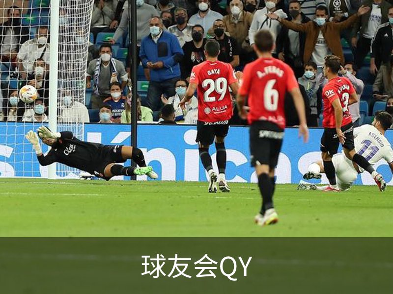 球友会QY简介